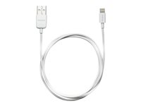 Targus - Câble Lightning - Lightning mâle pour USB mâle - 1 m - blanc ACC96101EU